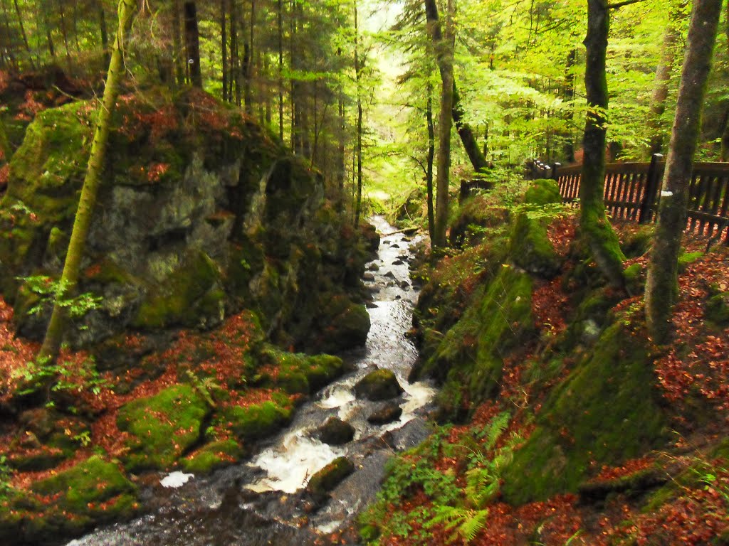 Girmont-waterval - Val-d'Ajol