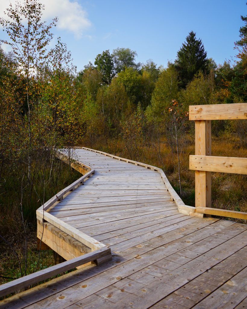 The Demoiselle peat bog in Saint-Nabord