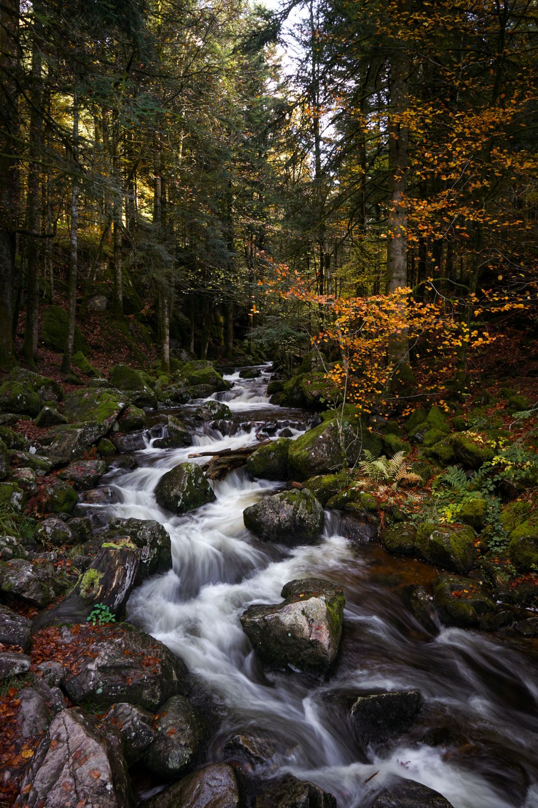le ruisseau du Géharh au Val-d'Ajol, en amont de la cascade l'automne