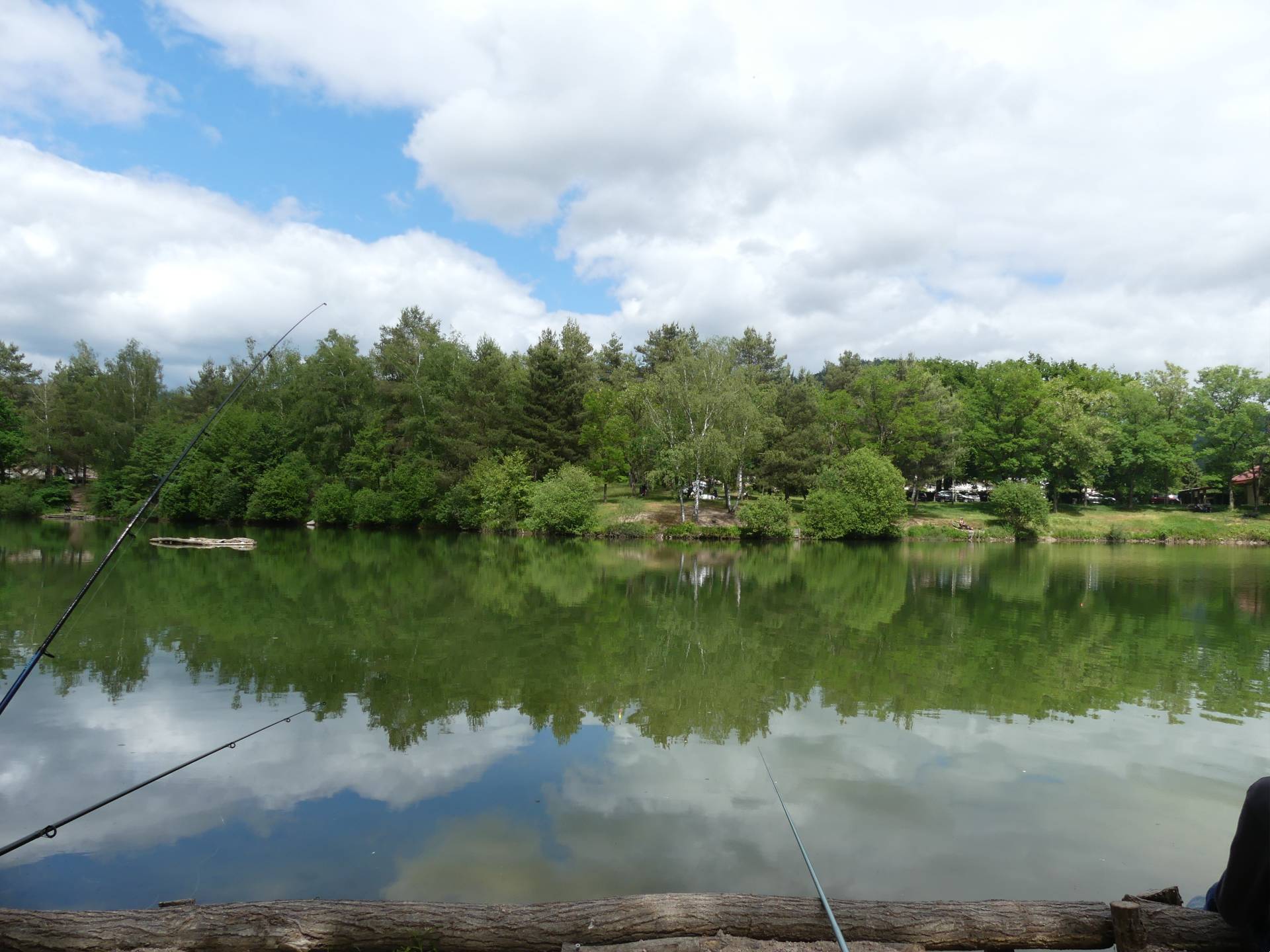 Fishing day at the Chêna pond, in Éloyes