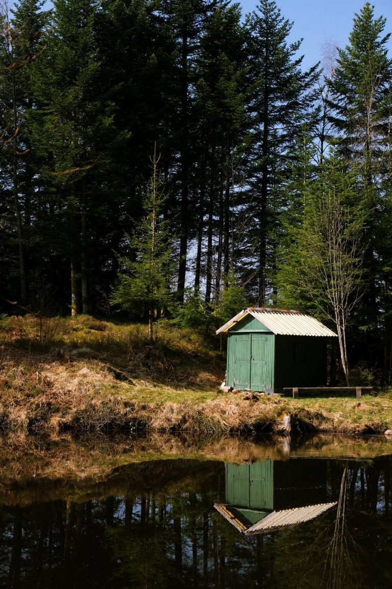 Étang au Girmont-Val-d'Ajol