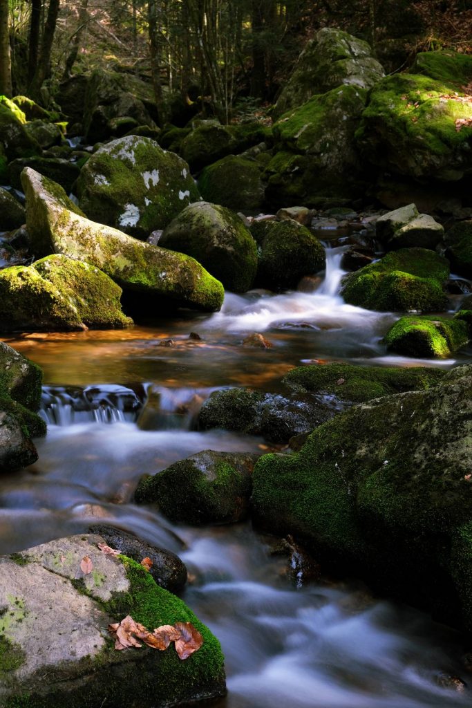 Le ruisseau du Géhard