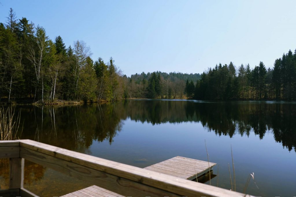 Tranquilidade de uma caminhada até as lagoas de Girmont-Val-d'Ajol - Etang de la Mollière
