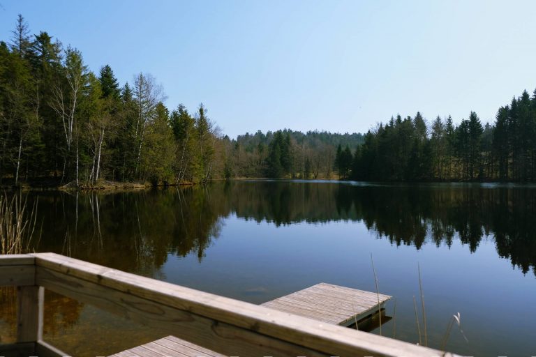 Teich Mollière in Girmont-Val-d'Ajol