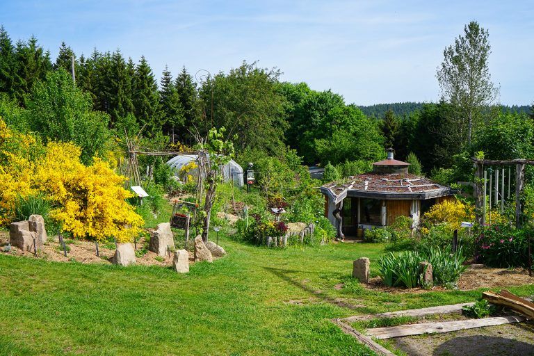 Jardin Une Figue dans le Poirier, au Girmont-Val-d'Ajol