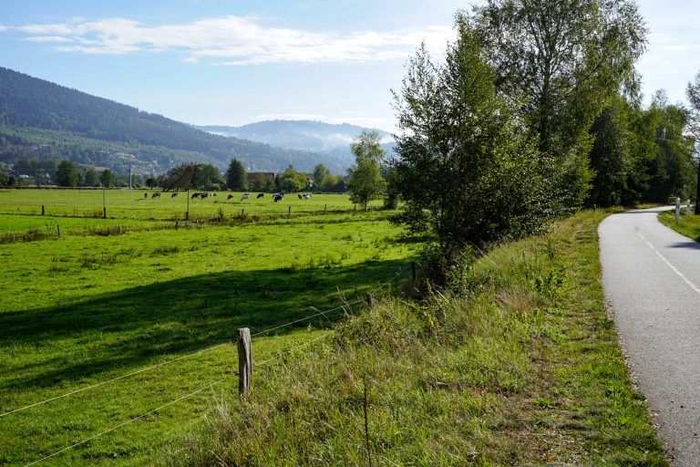 La vue sur les montagnes vosgiennes depuis la voie verte