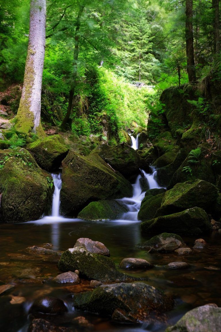 Cascade du Géhard au Val-d'Ajol