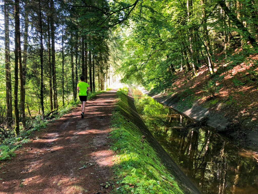 Trail le long du canal de Saint-Nabord