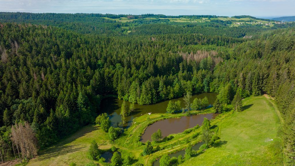 Widok z lotu ptaka na Girmont-Val-d'Ajol w regionalnym parku przyrody Ballons des Vosges