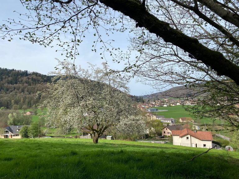 Lancement de saison de la randonnée au Val-d'Ajol - ©Fabienne Nicolas