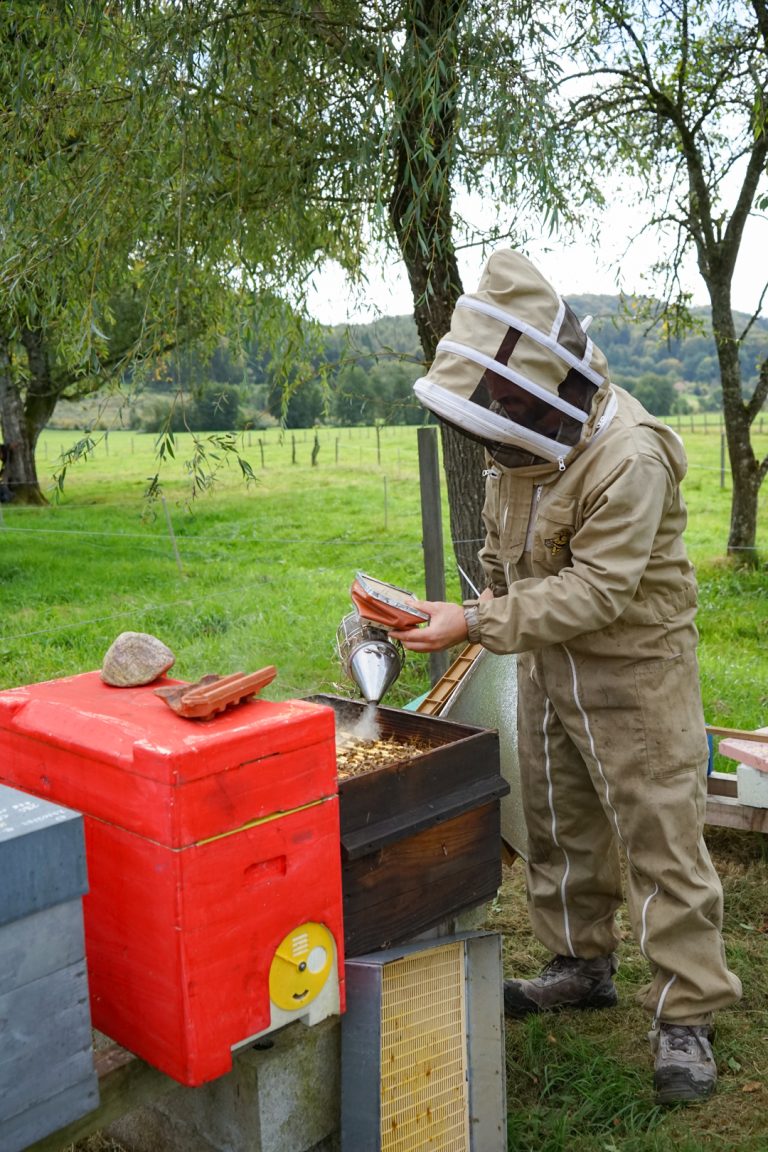 Le Rucher de Launot au Val-d'Ajol
