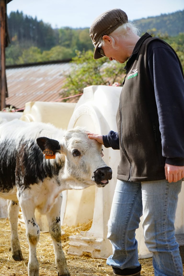 La Ferme de Reherrey à Vecoux dans les Vosges