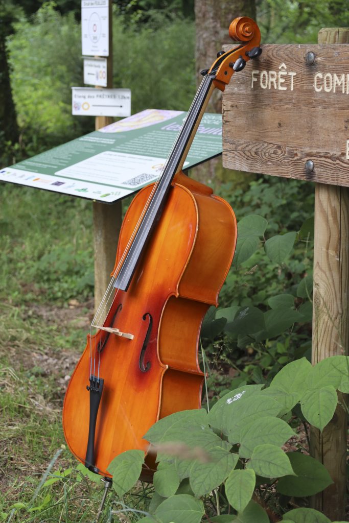 Sentier musical du Val-d'Ajol ©CCPVM