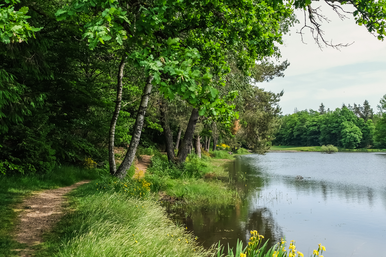 L'étang de la Demoiselle à Saint-Nabord dans les Vosges