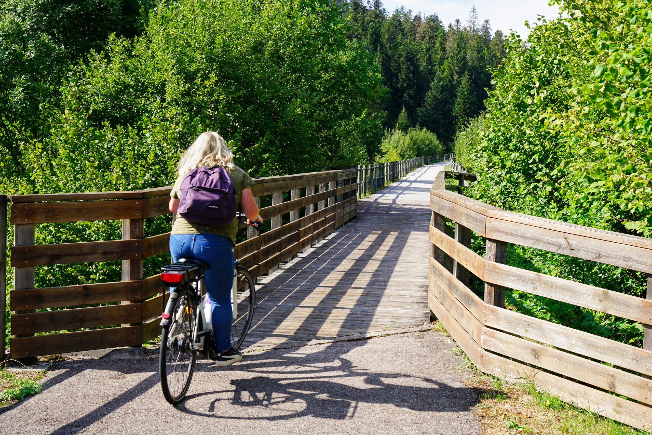 Grüner Weg in den hohen Vogesen